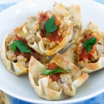 #ad Wonton Cup Appetizer with Tyson Ground Chicken