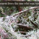 Matthew West Forgiveness video and devotion