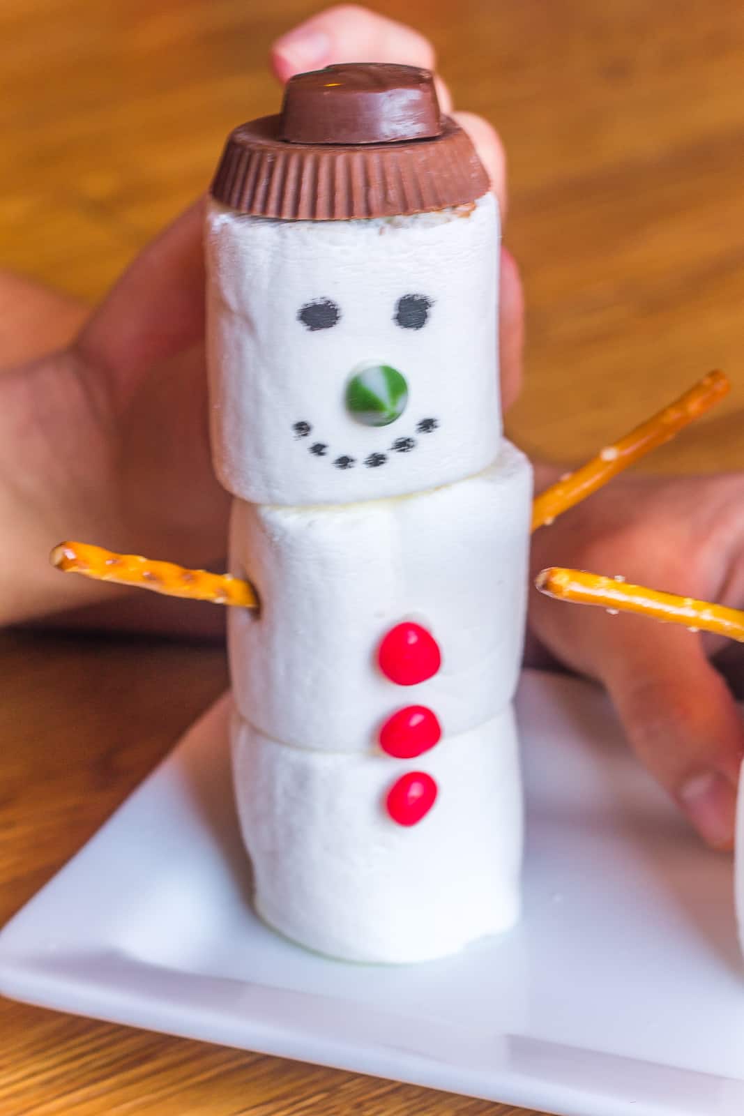 Marshmallow Snowman Craft for Kids - Platein28